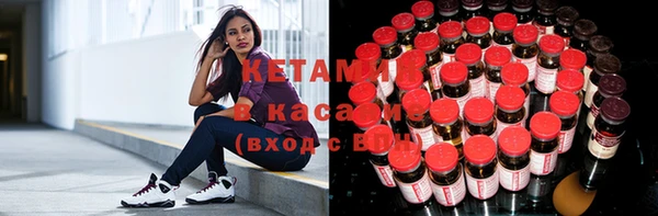сатива Абинск