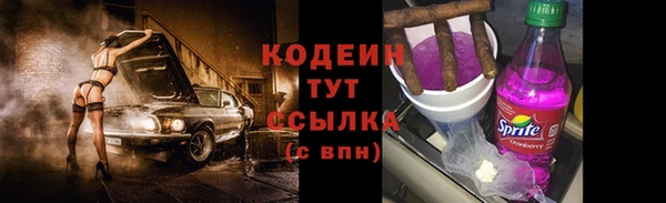 эйфоретик Вяземский