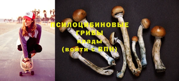 mix Абаза
