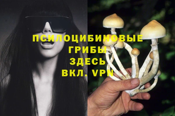 mix Абаза