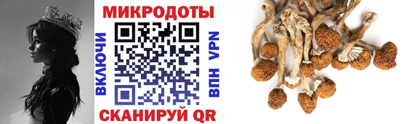 Галлюциногенные грибы Cubensis Шарья