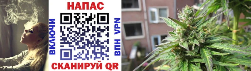Канабис VHQ Шарья